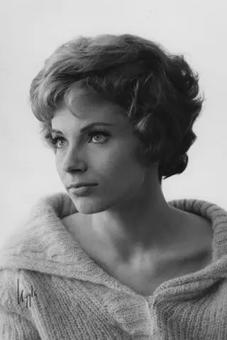 Peliculas de Gunnel Lindblom