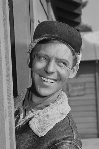 Peliculas de Larry Hovis