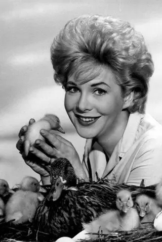 Peliculas de Jan Shepard