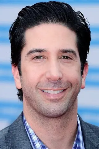 Peliculas de David Schwimmer