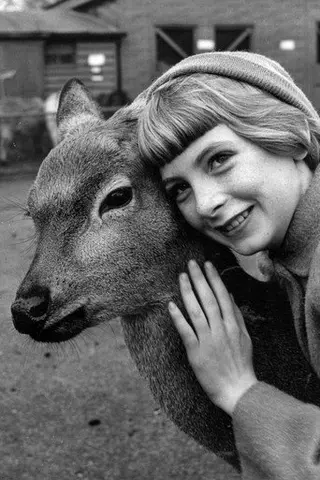 Peliculas de Jacqueline Ryan