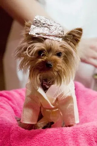 Peliculas de Manly "Little Pickles" Ortega