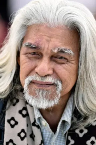 Peliculas de Wan Hanafi Su