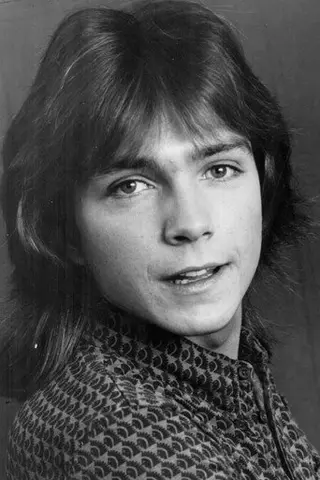 Peliculas de David Cassidy