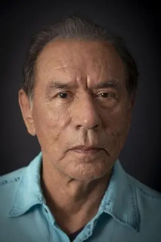Peliculas de Wes Studi