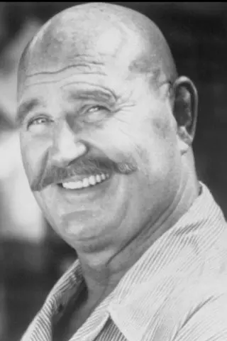 Peliculas de H.B. Haggerty