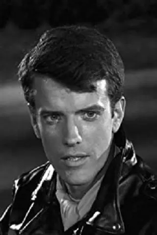 Peliculas de Lee Kinsolving