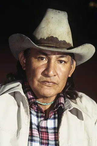 Peliculas de Will Sampson