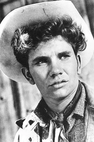 Peliculas de Dee Pollock