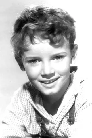 Peliculas de Peter Miles