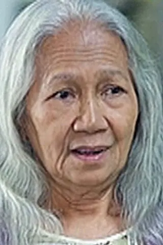 Peliculas de Ermie Concepcion