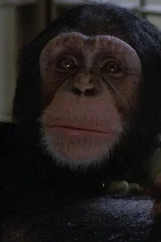 Peliculas de Willie