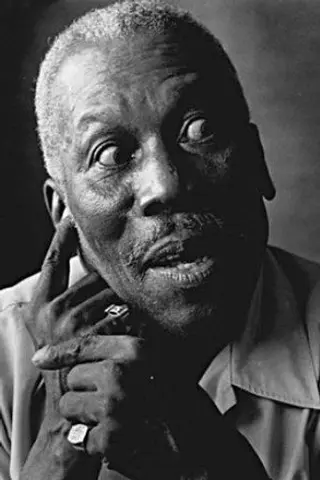 Peliculas de Tiger Haynes