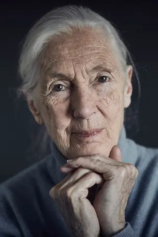Peliculas de Jane Goodall