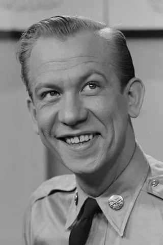 Peliculas de Allan Melvin