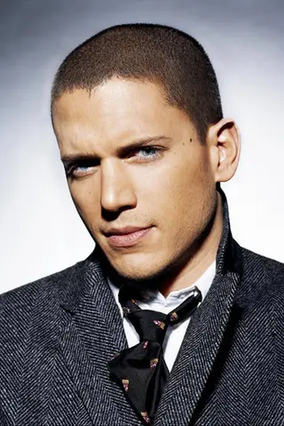 Peliculas de Wentworth Miller