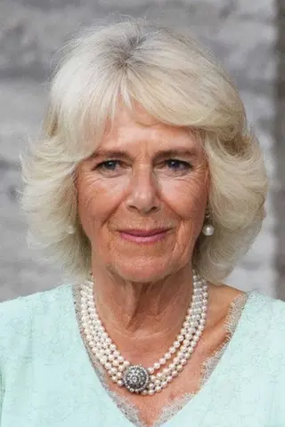 Peliculas de Queen Camilla