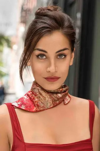 Peliculas de Lara Wolf