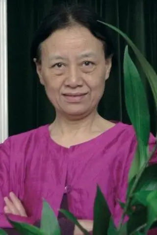 Peliculas de Xing Xing Cheng