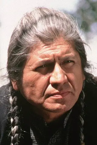 Peliculas de Gordon Tootoosis