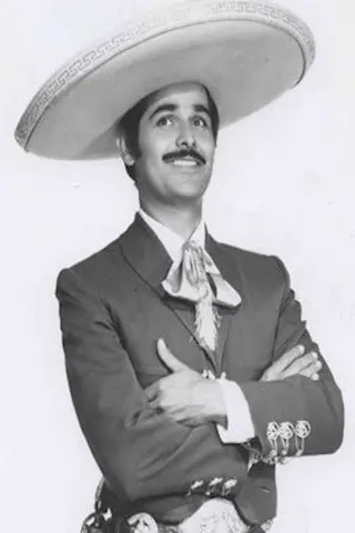 Peliculas de Manuel López Ochoa