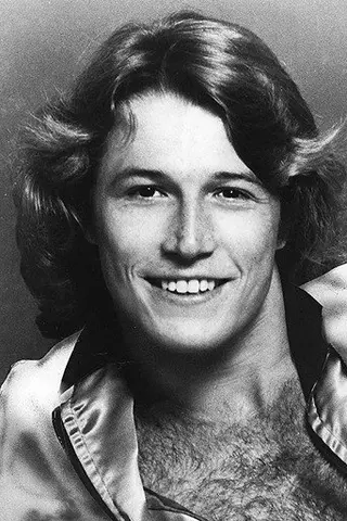 Peliculas de Andy Gibb