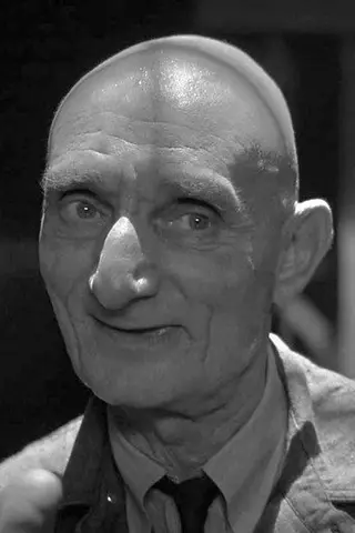 Peliculas de Harry Bugin