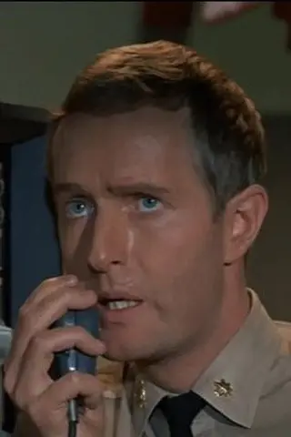 Peliculas de Robert Dowdell
