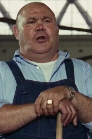 Peliculas de Veriano Ginesi