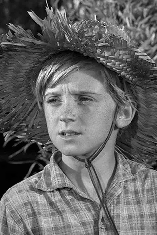 Peliculas de Kim Hector