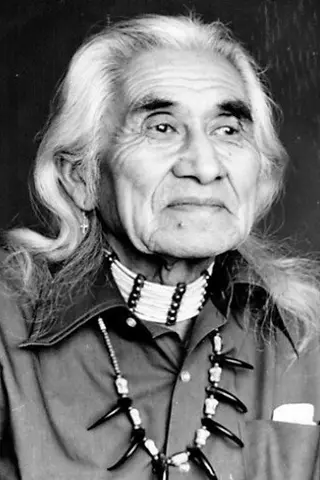Peliculas de Chief Dan George