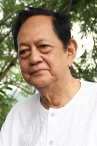 Peliculas de Deddy Sutomo