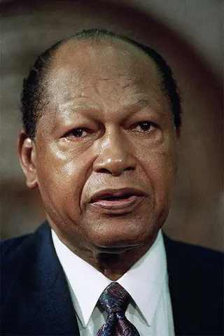 Peliculas de Tom Bradley