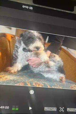 Peliculas de Truffa