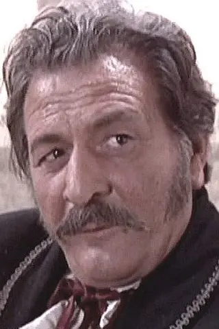 Peliculas de Furio Meniconi