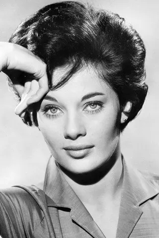 Peliculas de Carole Gray