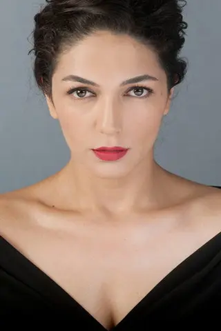 Peliculas de Şebnem Hassanisoughi