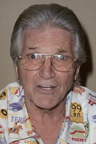 Peliculas de Paul Petersen