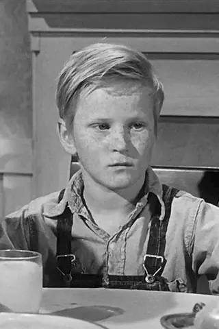 Peliculas de Steve Condit