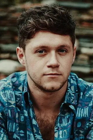 Peliculas de Niall Horan