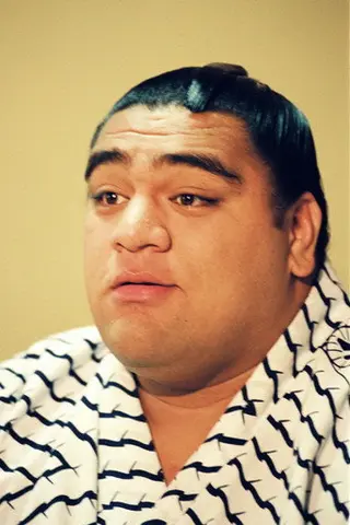 Peliculas de Musashimaru