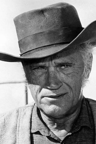 Peliculas de Robert J. Wilke