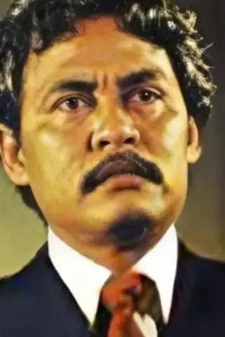 Peliculas de W.D. Mochtar
