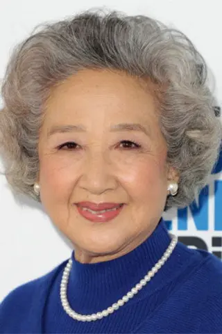 Peliculas de Zhao Shuzhen