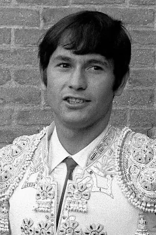 Peliculas de Sebastián Palomo Linares