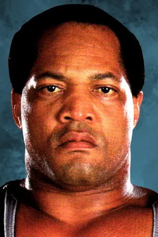 Peliculas de Ron Simmons