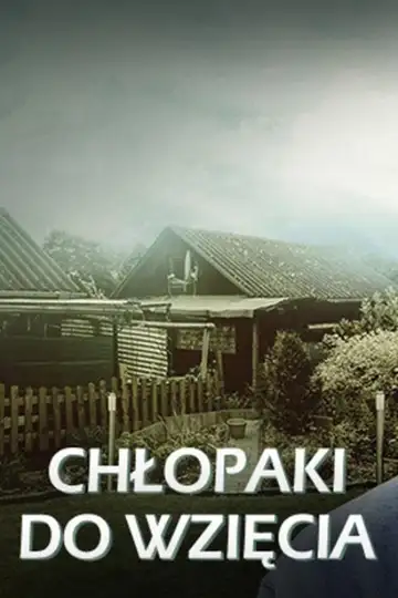 Serie Chłopaki do wzięcia completa ver online castellano