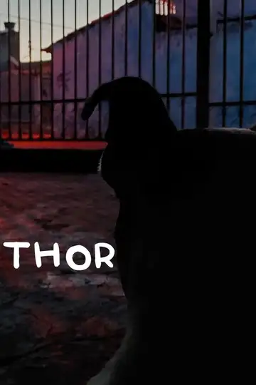 Ver Thor 2024 película completa online en español