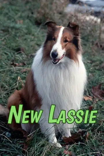The New Lassie Ver Online Castellano • veroTV