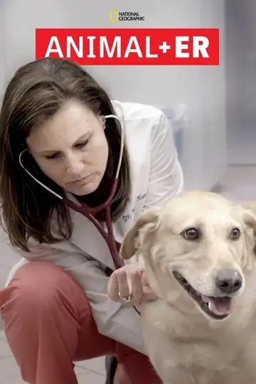 Animal ER Ver Online Castellano • veroTV
